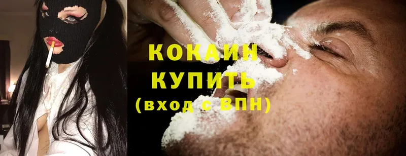 купить наркотики цена  Александров  Cocaine FishScale 