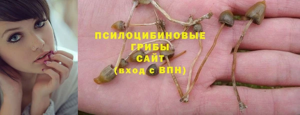 амф Покачи