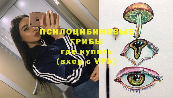 стаф Покров