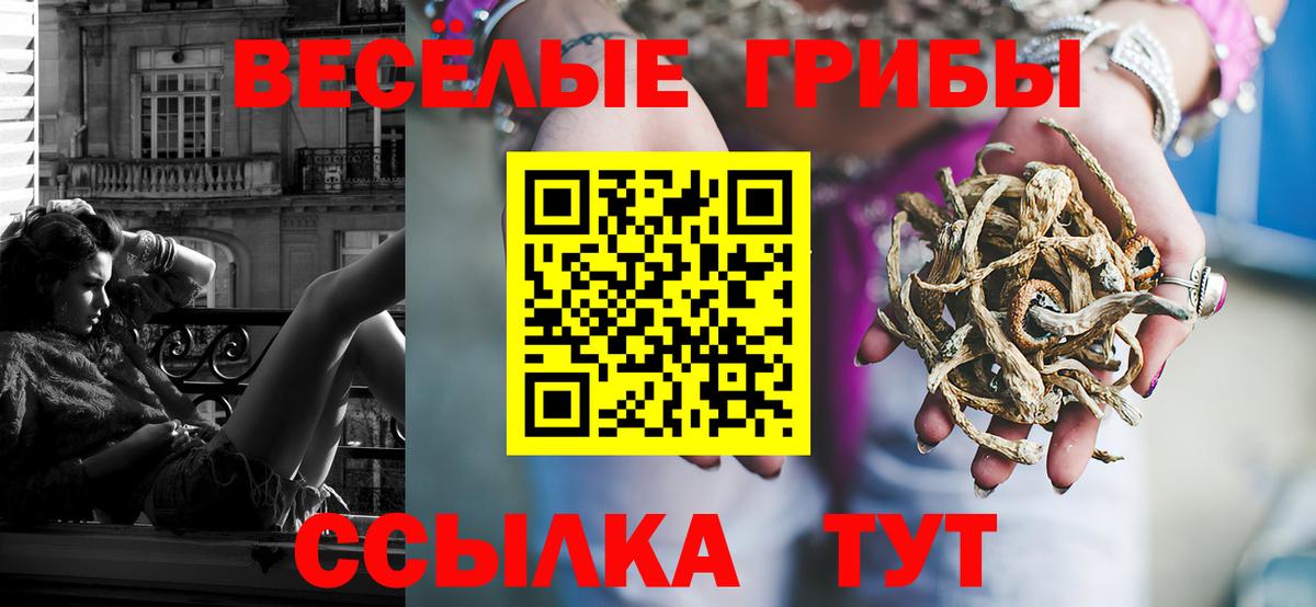 Псилоцибиновые грибы мухоморы  Вход с VPN  Псилоцибиновые грибы мухоморы  Александров 