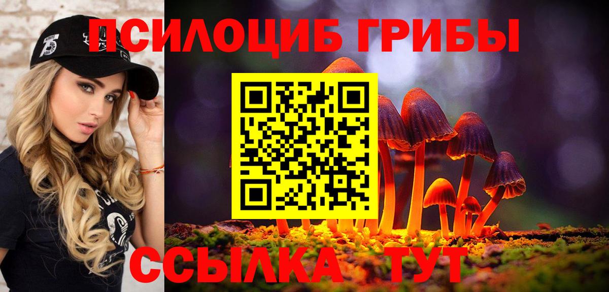 Псилоцибиновые грибы GOLDEN TEACHER Александров