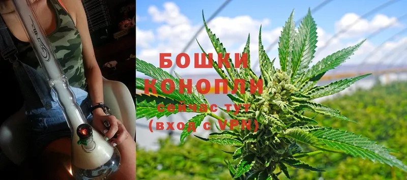 дарнет шоп  Александров  МАРИХУАНА SATIVA & INDICA 