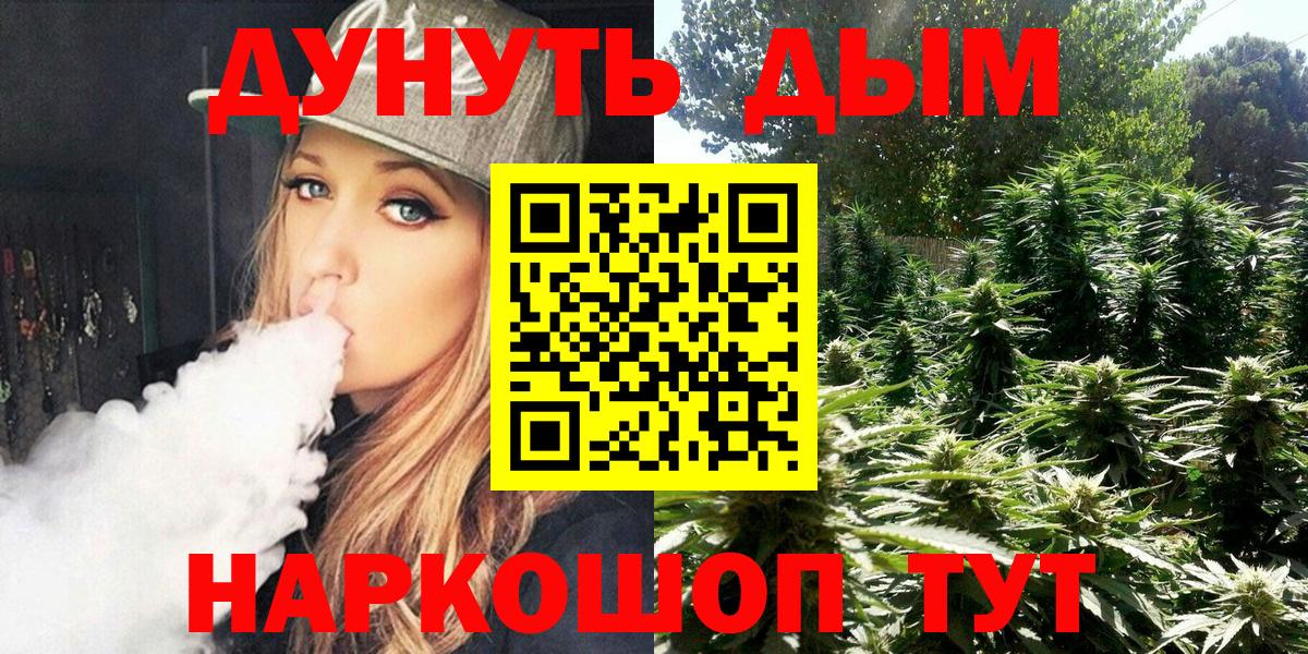 Каннабис планчик Александров